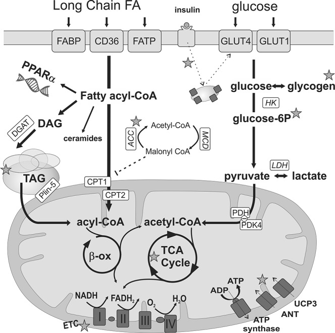 FIG. 2.