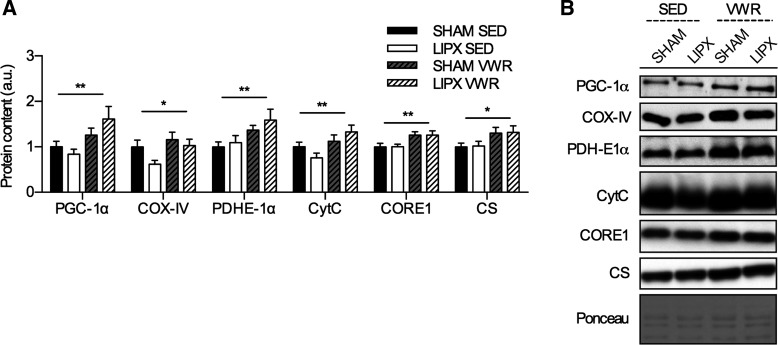 Fig. 9.