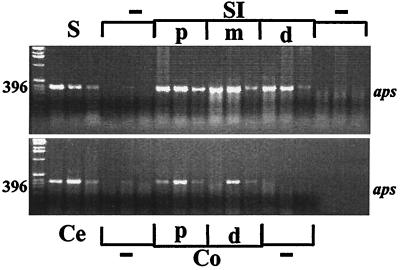 FIG. 6