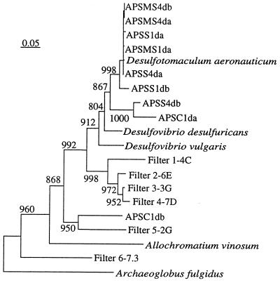 FIG. 5