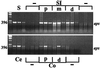 FIG. 6