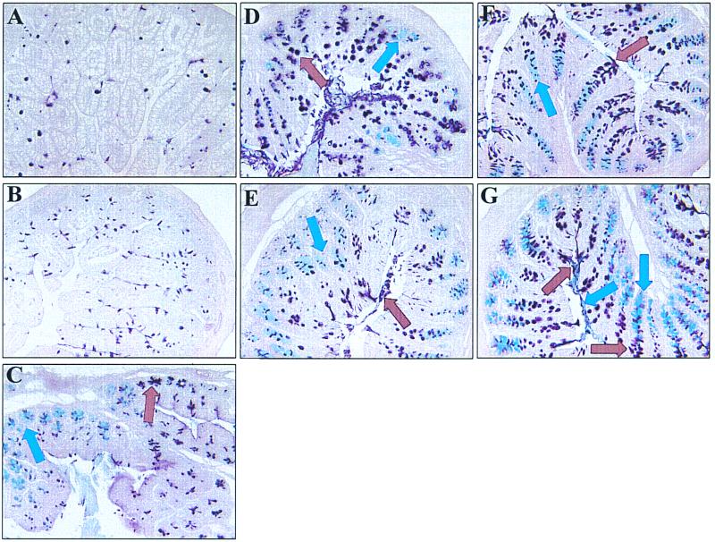 FIG. 7