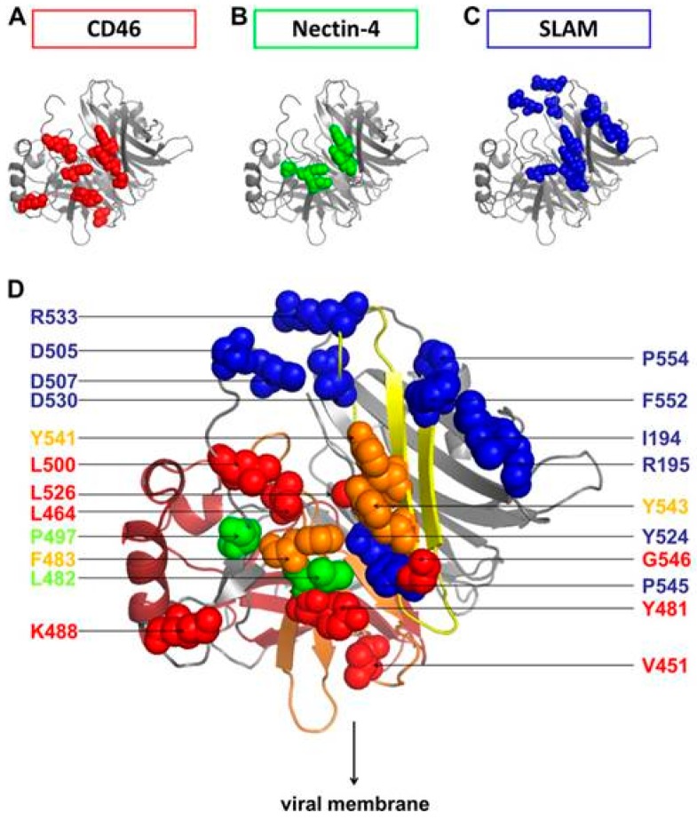 Figure 11