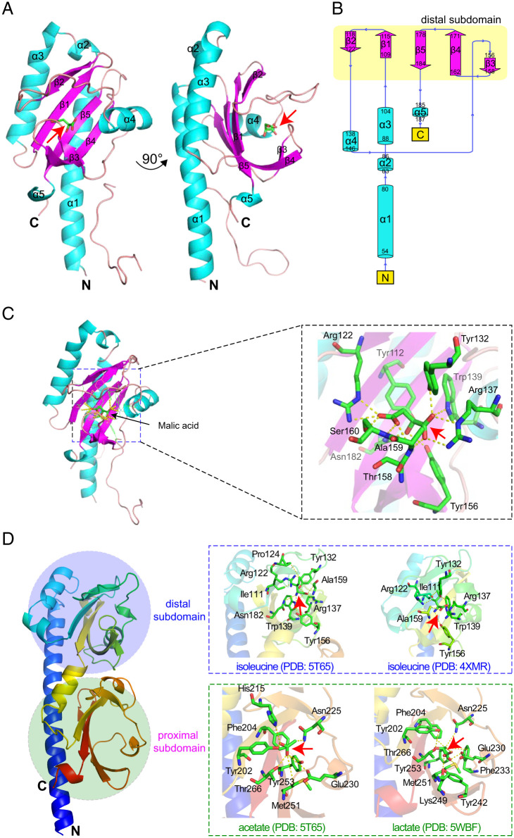 Fig. 4.