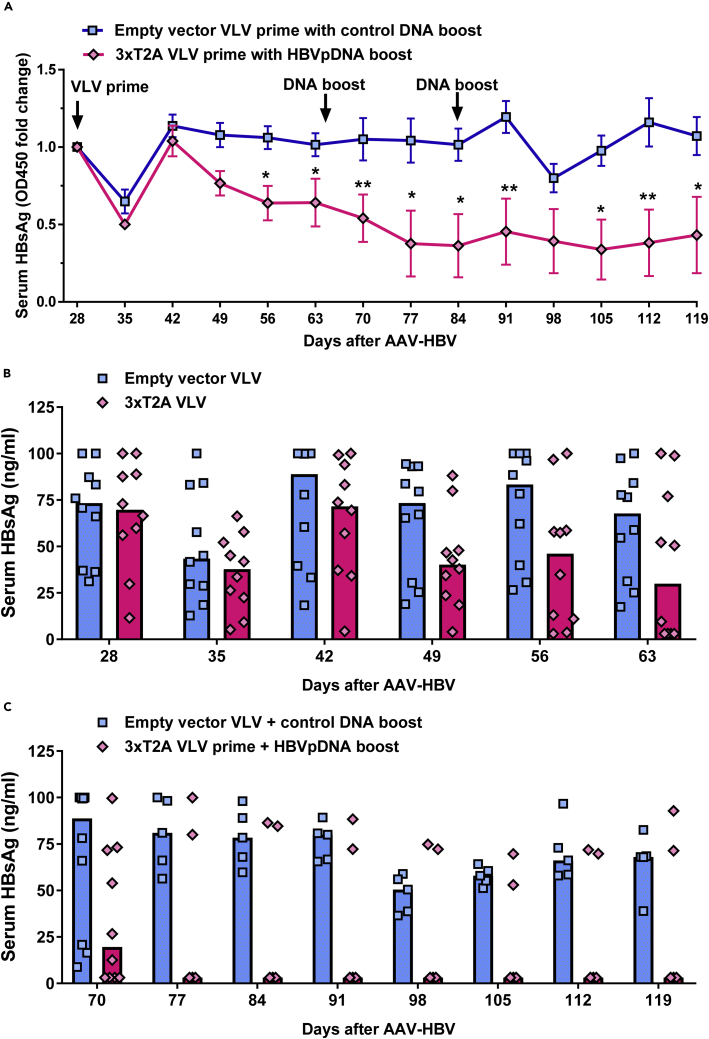 Figure 4