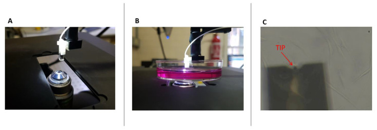 Figure 2