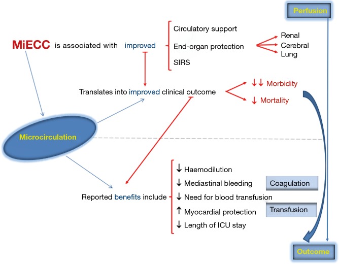 Minimal invasive extracorporeal circulation (MiECC): the state-of-the ...