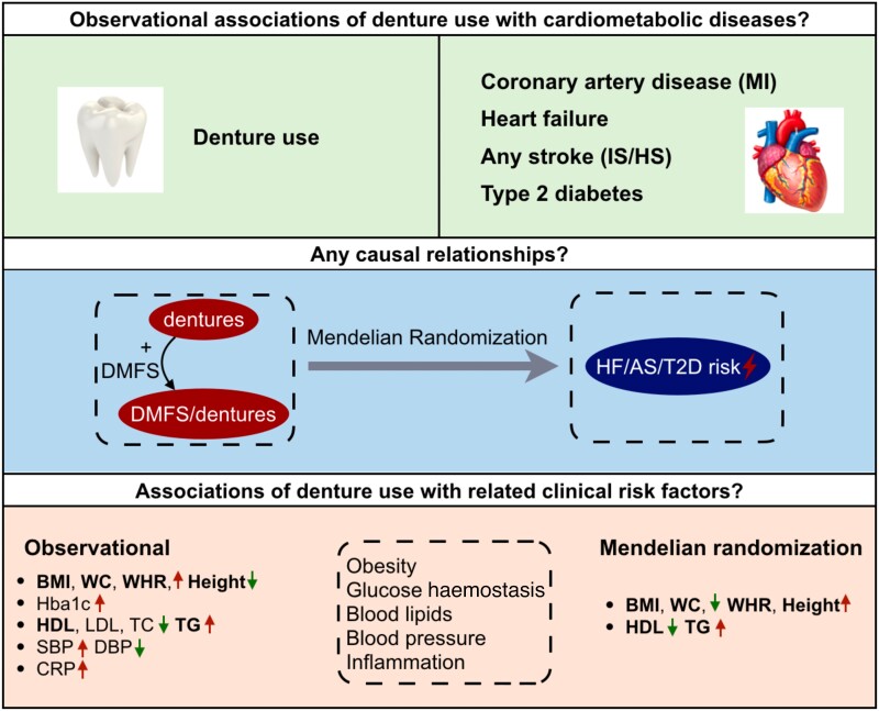 Graphical Abstract