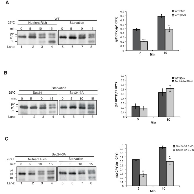 Figure 2—figure supplement 1.