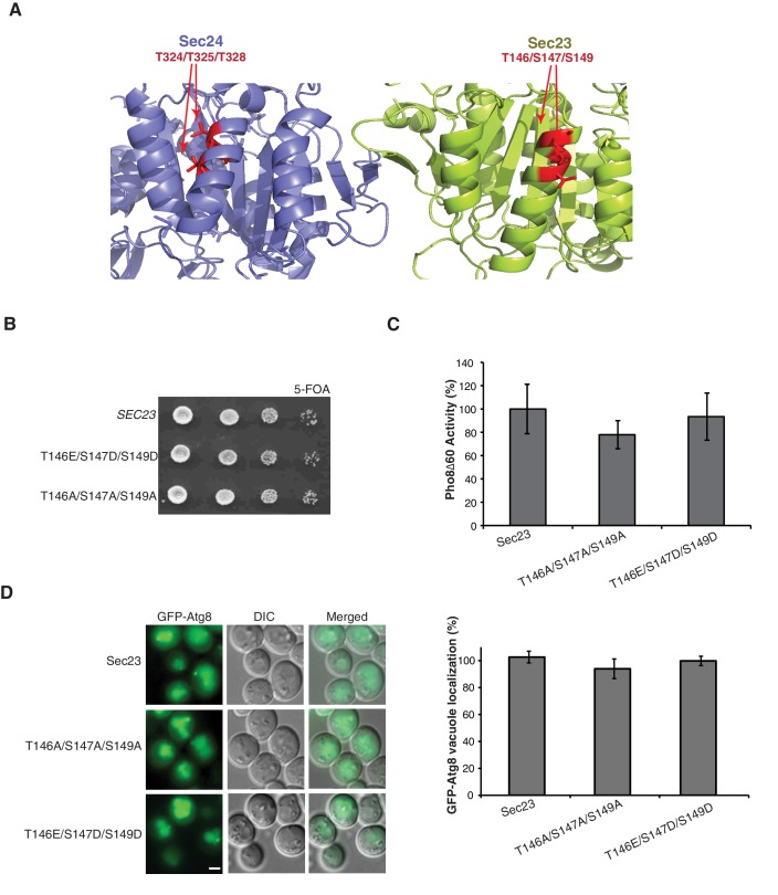 Figure 2—figure supplement 2.