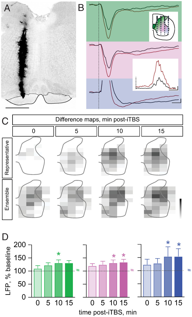 Fig. 4.