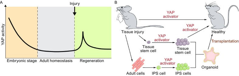 Figure 3