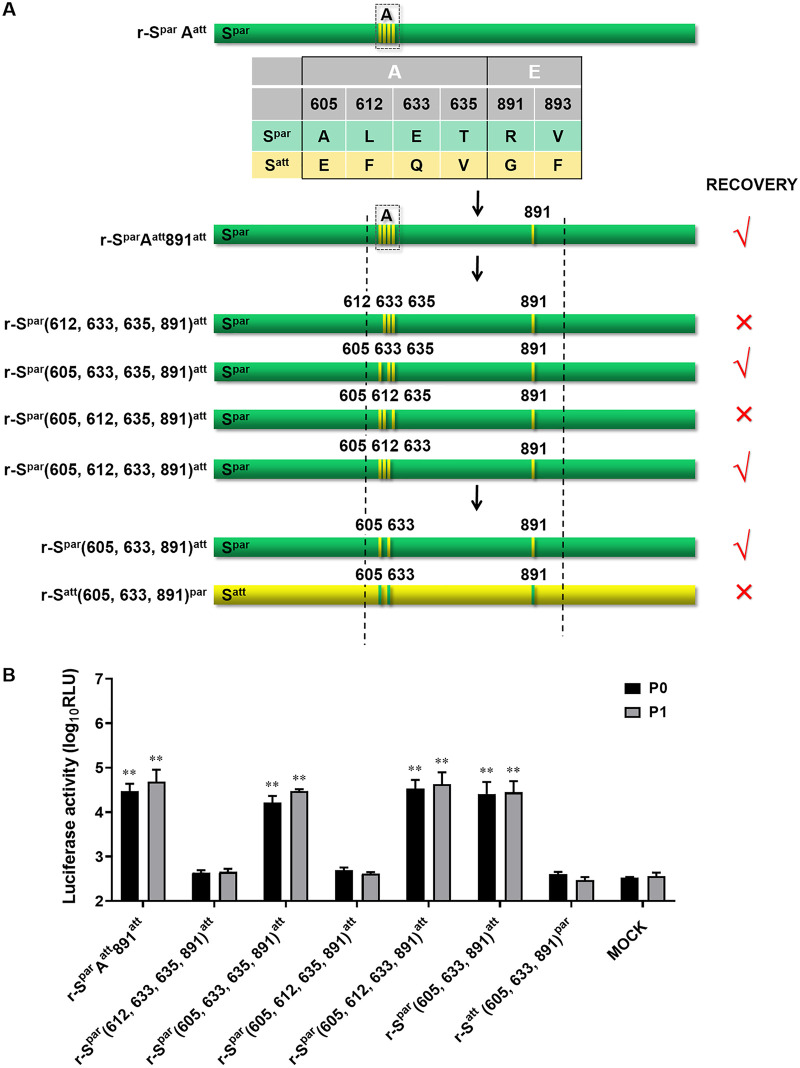 FIG 4