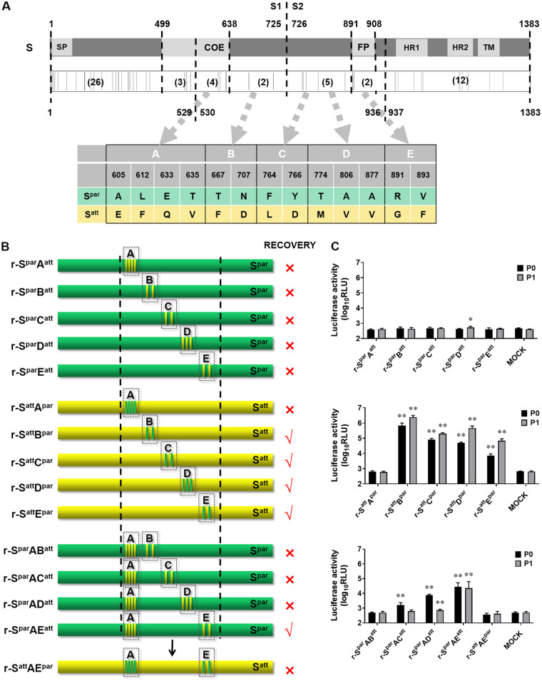 FIG 3