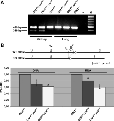 Figure 1.