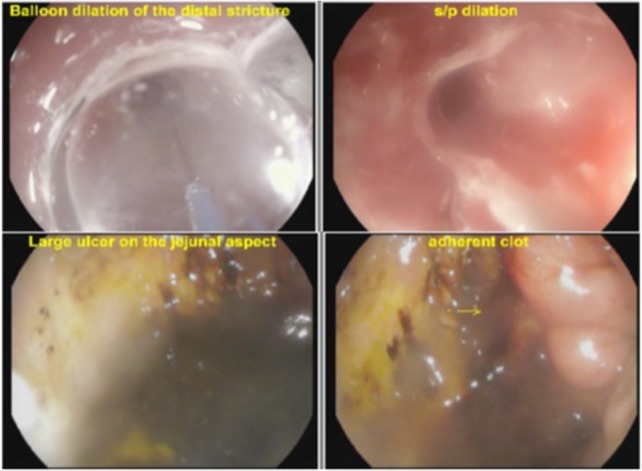 Figure 1: