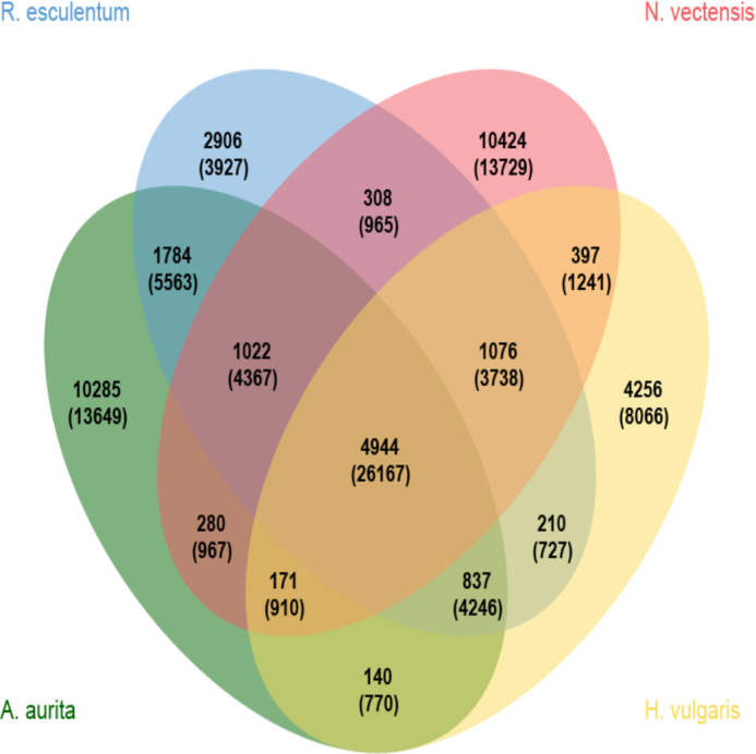 Figure 3: