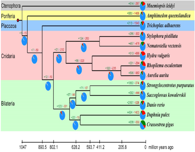 Figure 4: