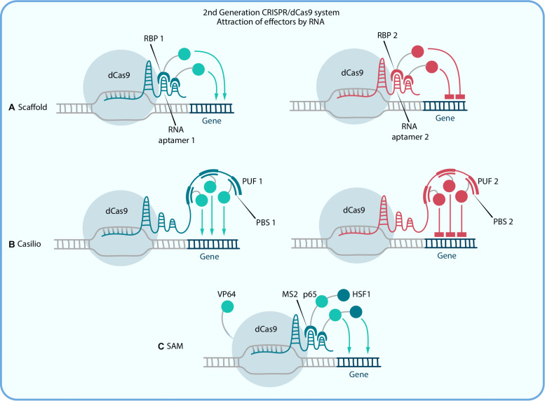 FIGURE 2