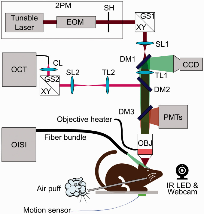 Figure 1.