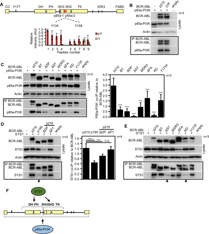 Fig. 7