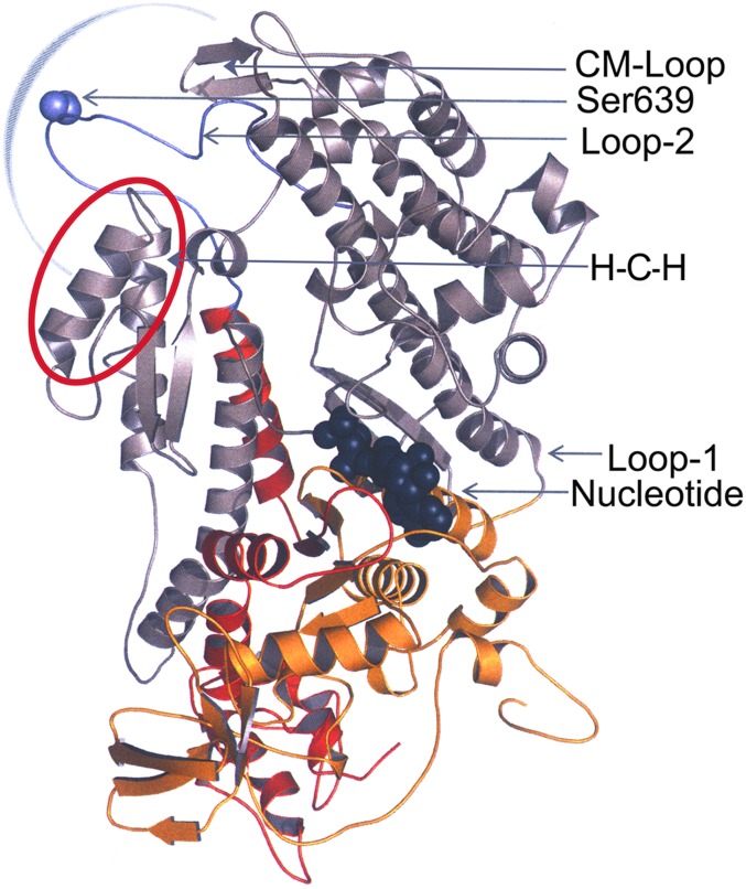 Fig. 6.