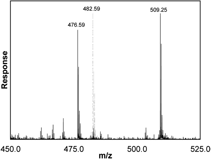 Fig. 3.