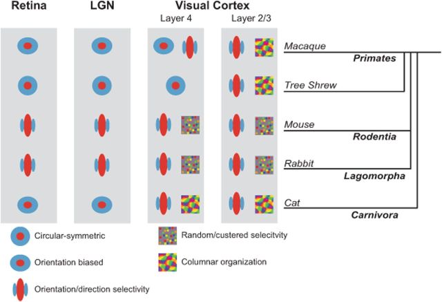 Figure 5.