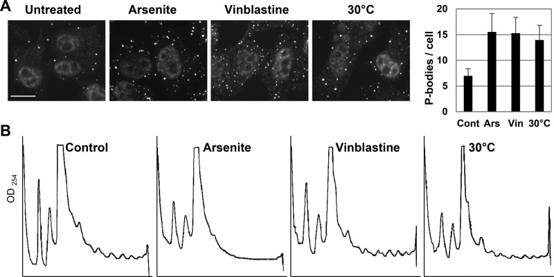 FIGURE 7: