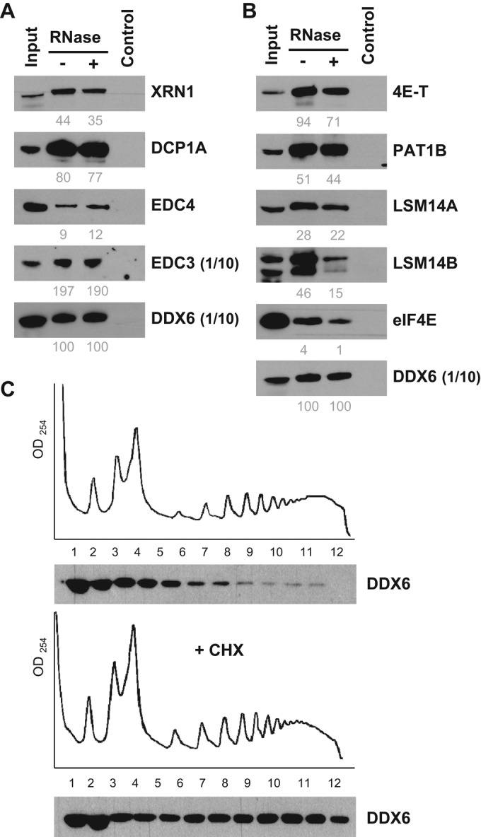 FIGURE 3: