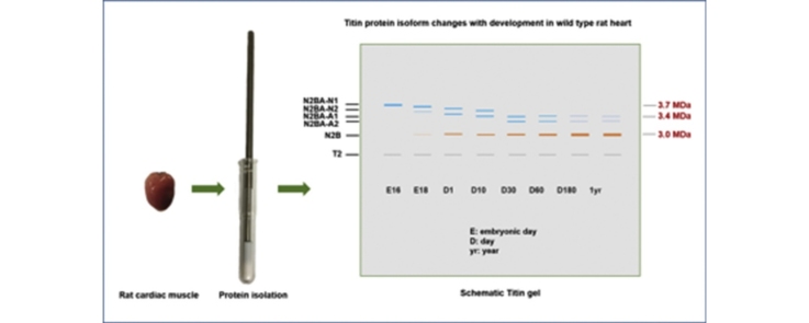 graphic file with name fx1.jpg