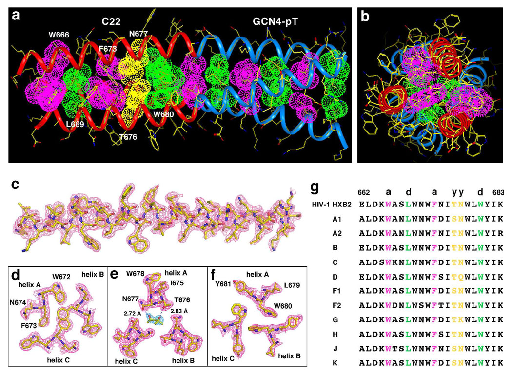 FIGURE 3