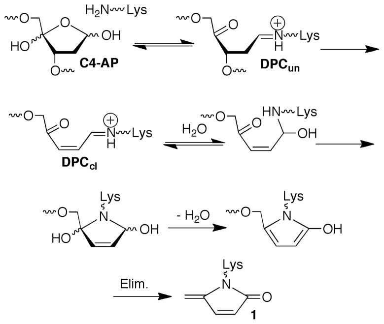 Scheme 1