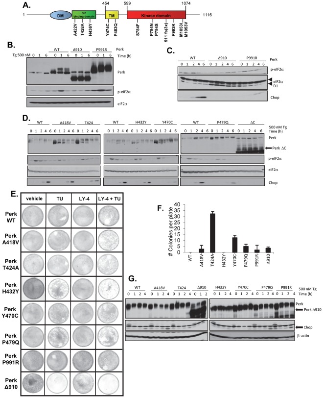 Fig 7