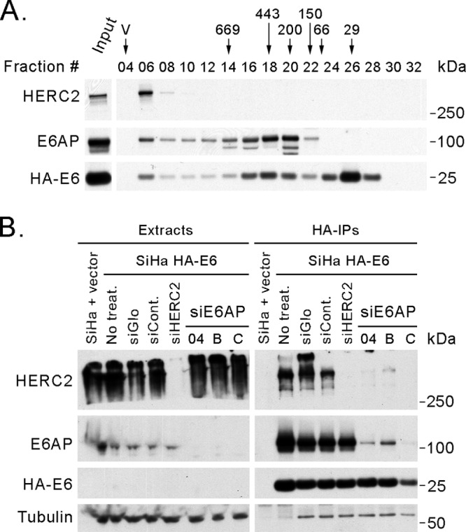 Fig 10