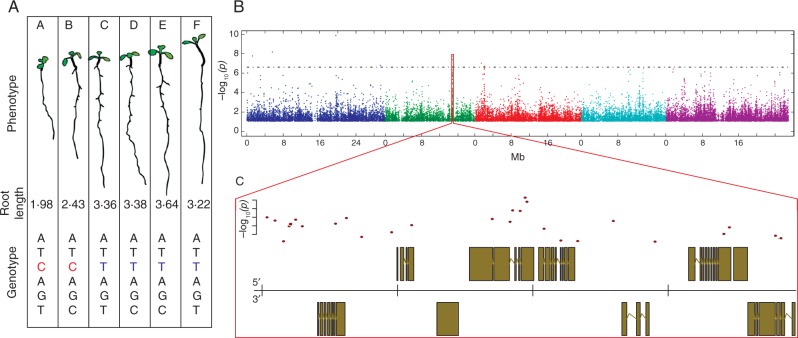 Fig. 4.