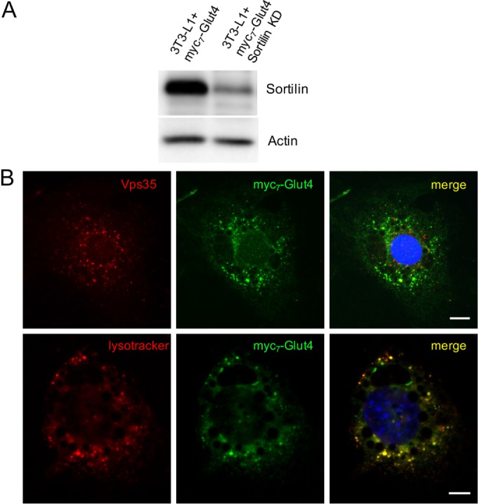 FIGURE 3: