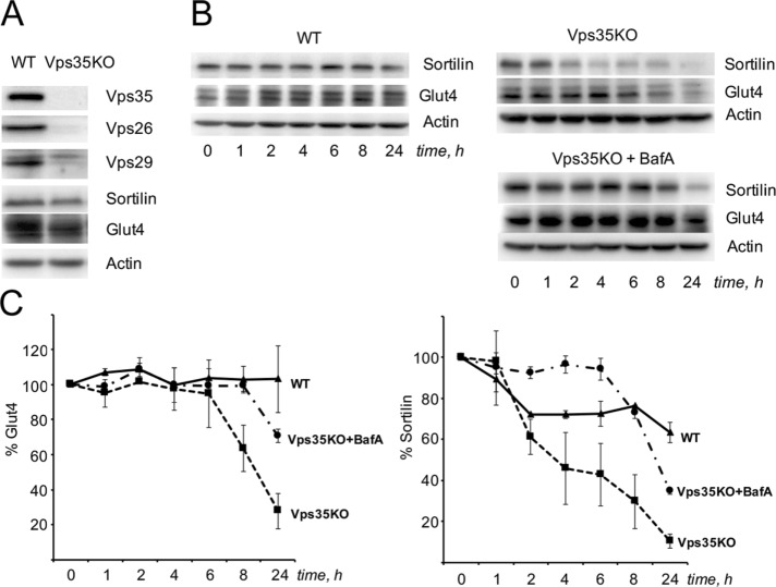 FIGURE 6: