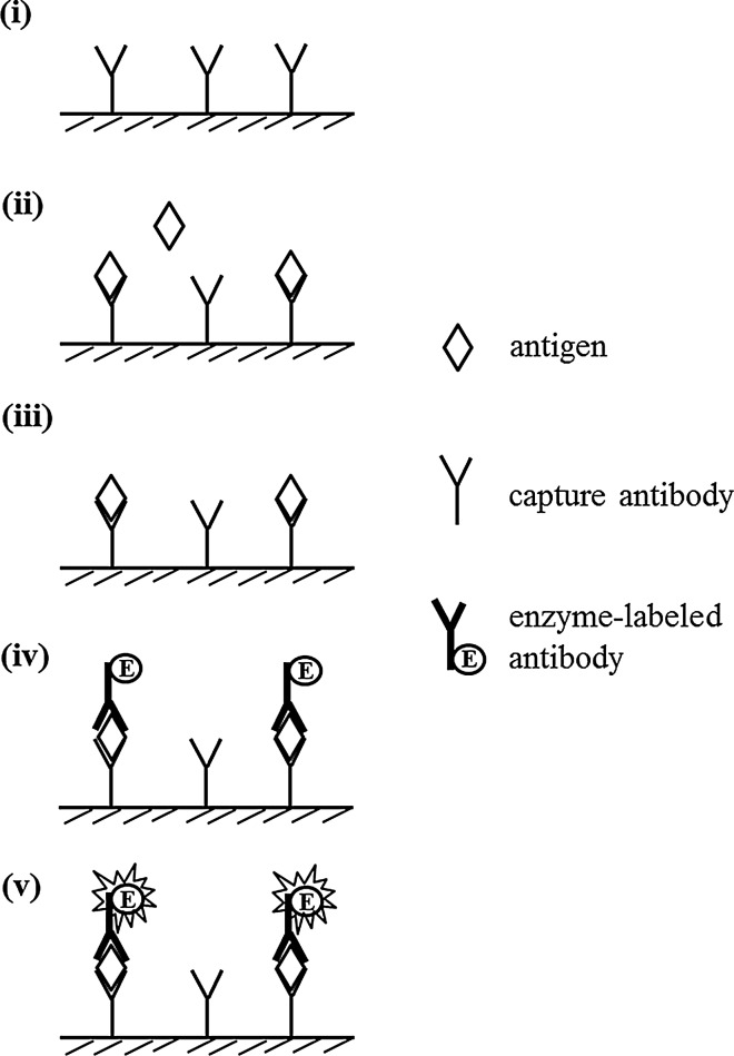 Fig. 5