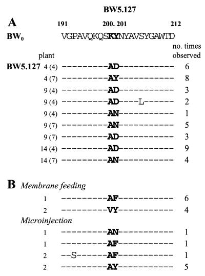 FIG. 6