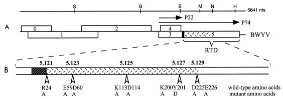 FIG. 1