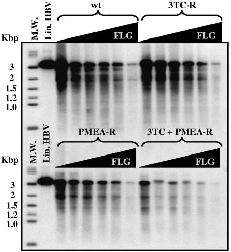 FIG. 3.