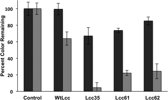 FIG 2