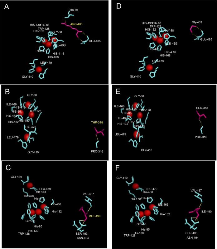 FIG 6