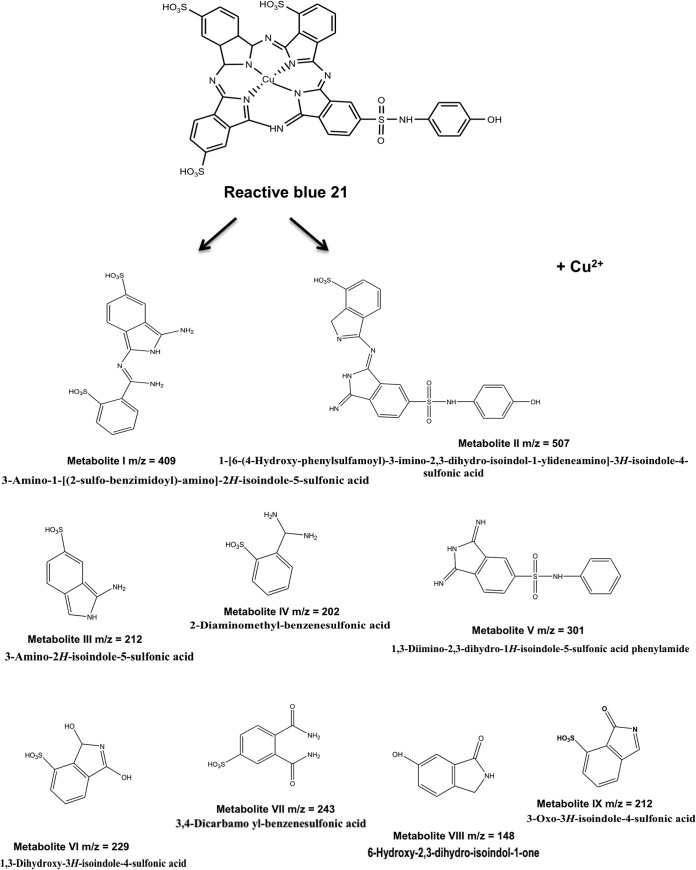 FIG 5