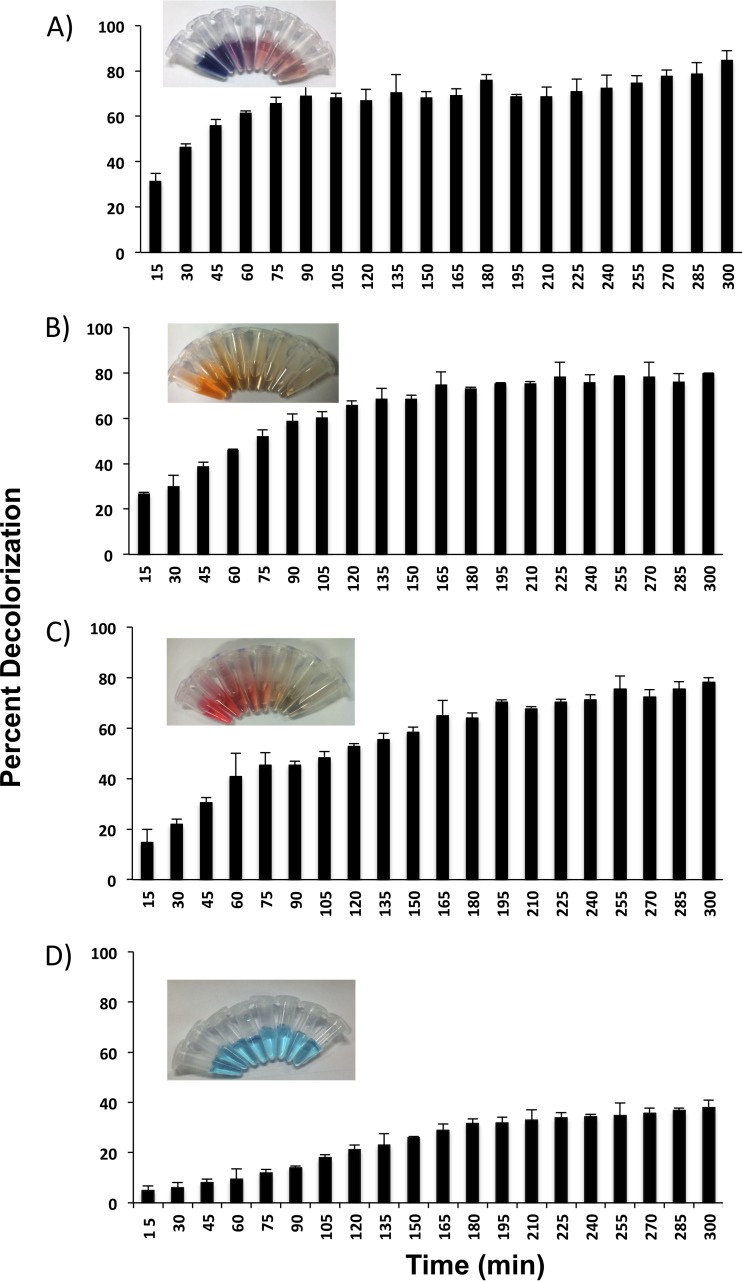 FIG 1