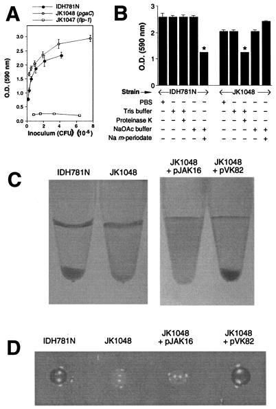 FIG. 2.