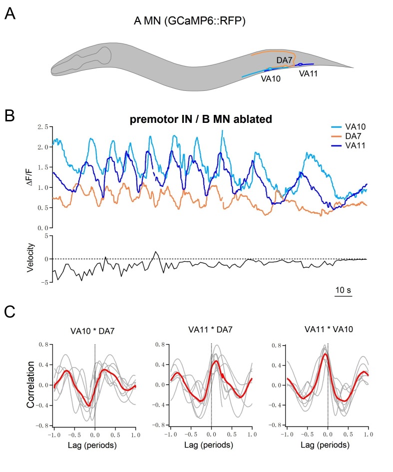 Figure 5.