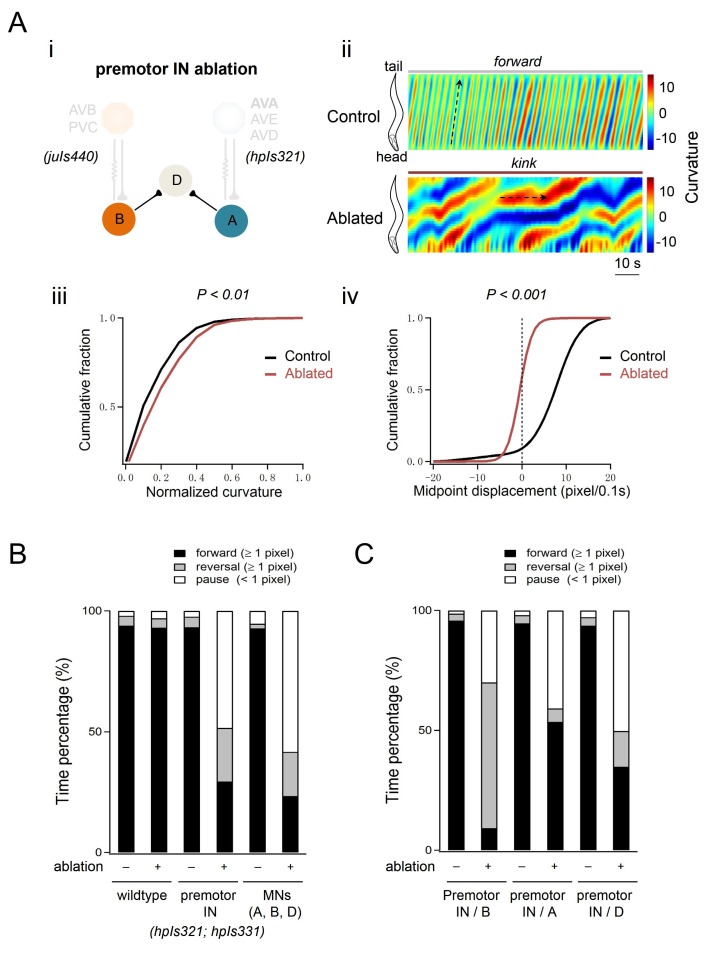 Figure 1—figure supplement 1.