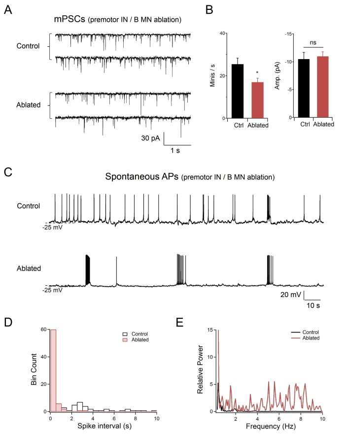 Figure 4—figure supplement 1.